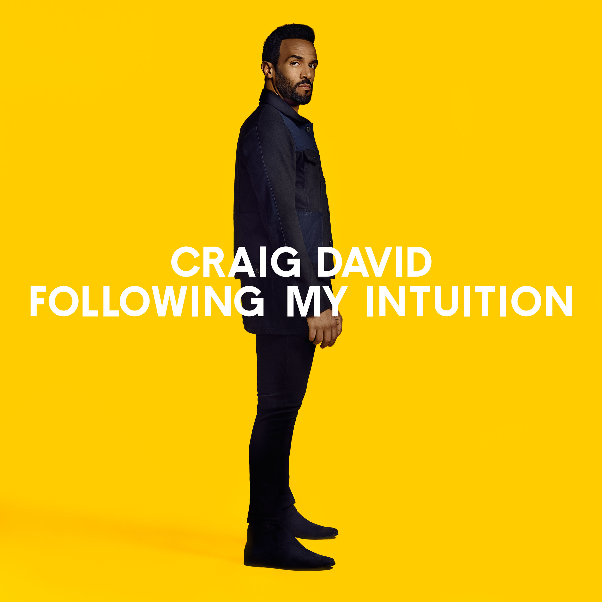 Image result for CRAIG DAVID FOLLOWING MY INTUITION