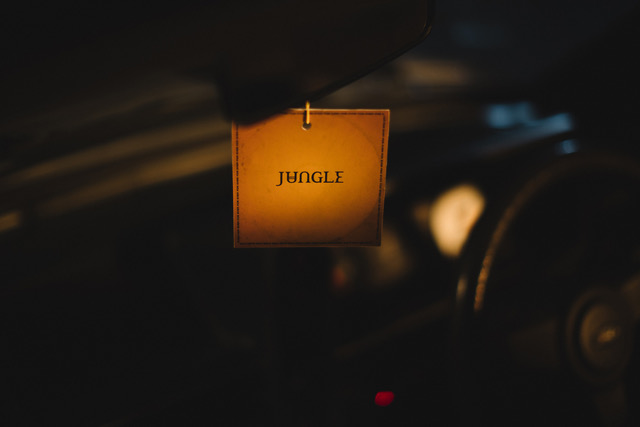 Jungle artwork Jungle artwork