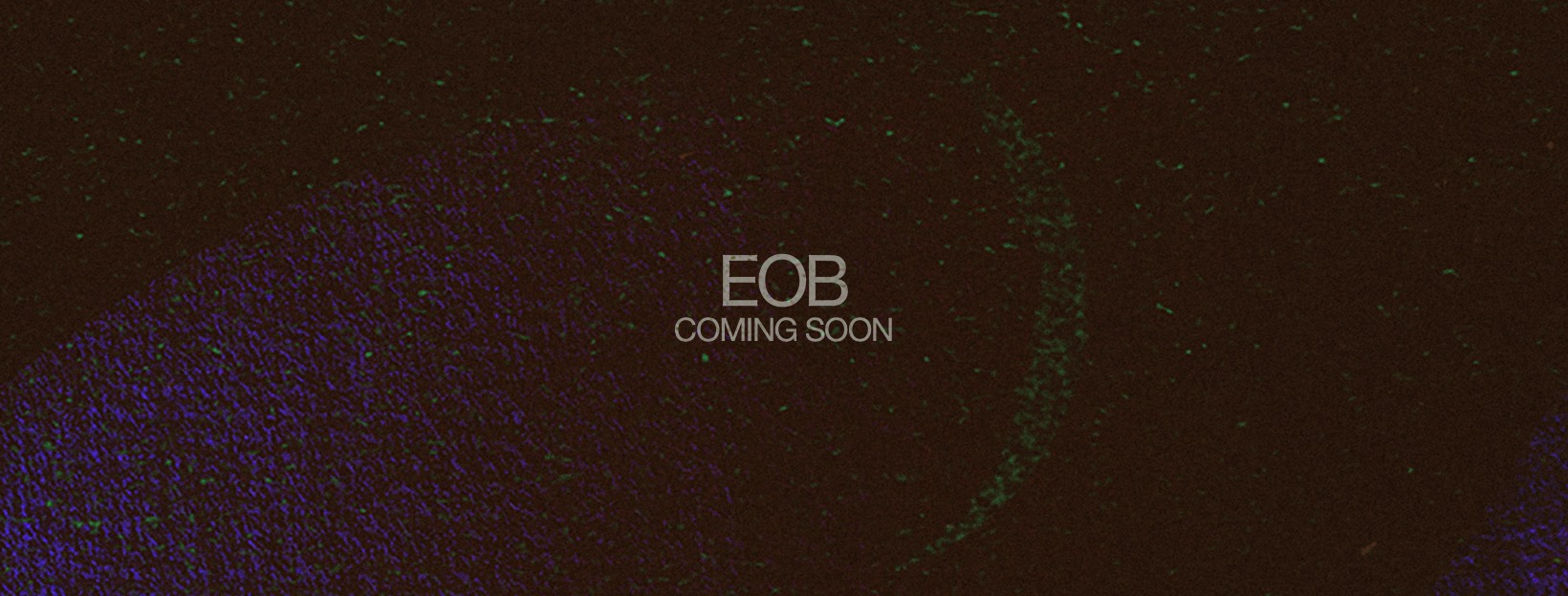 Radiohead's Ed O'Brien Previews Solo Material
