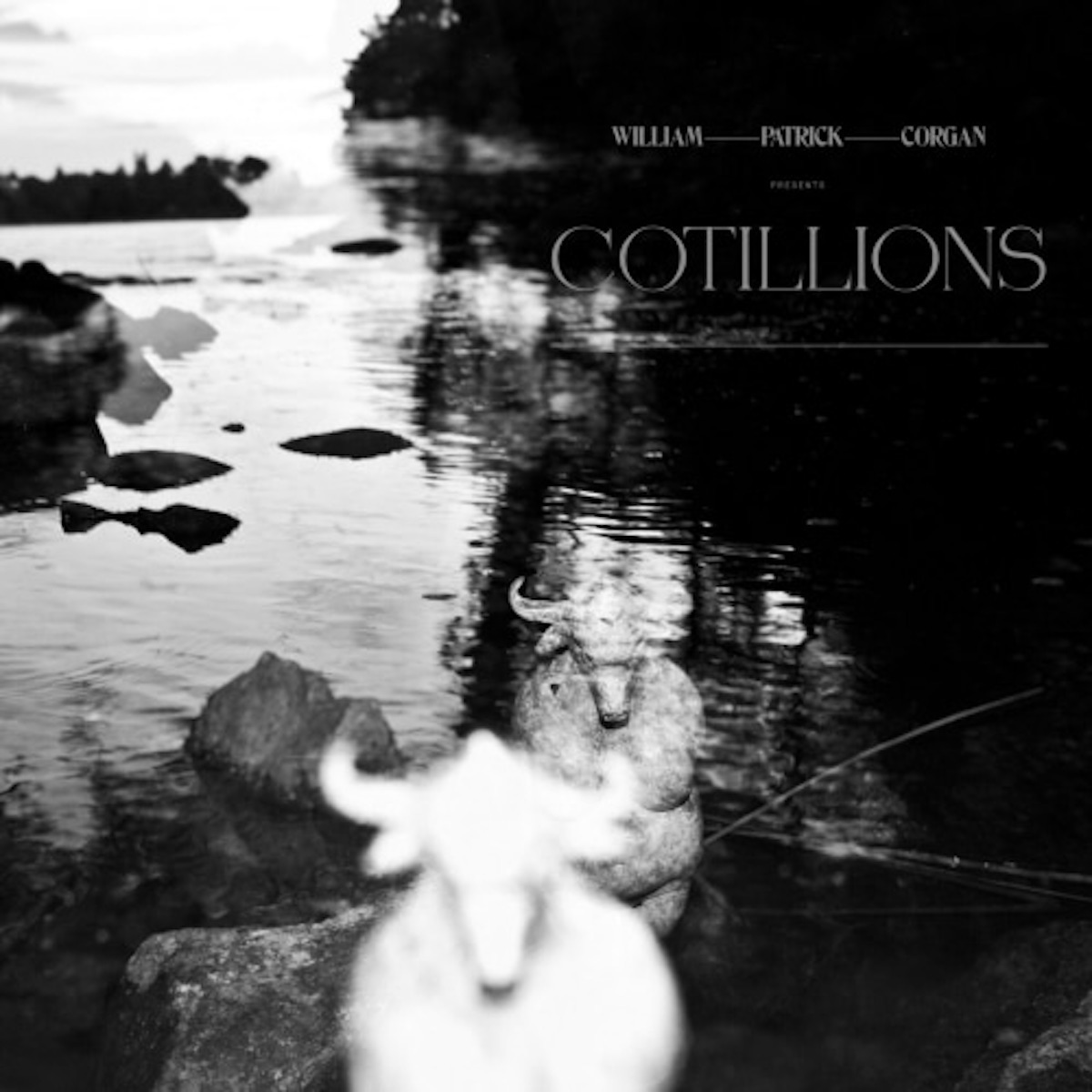 William Patrick Corgan - Cottilions