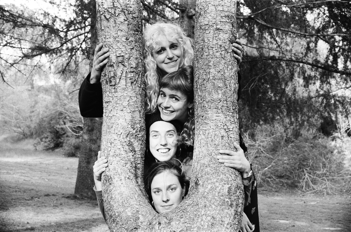 Their Library: Chastity Belt