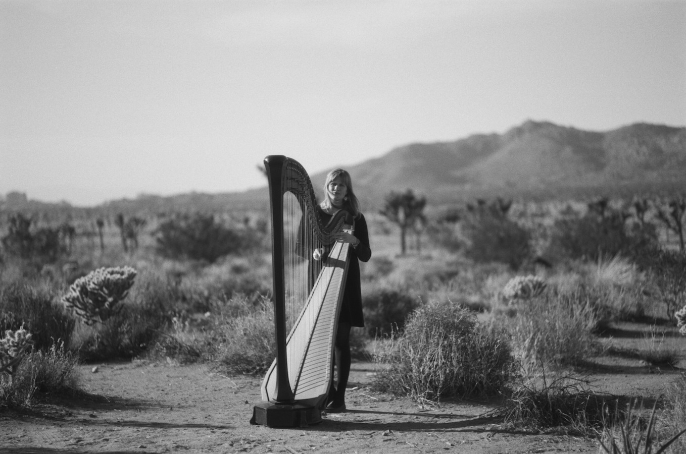 Mary Lattimore (Credit: Rachael Pony Cassells) Mary Lattimore (Credit: Rachael Pony Cassells)