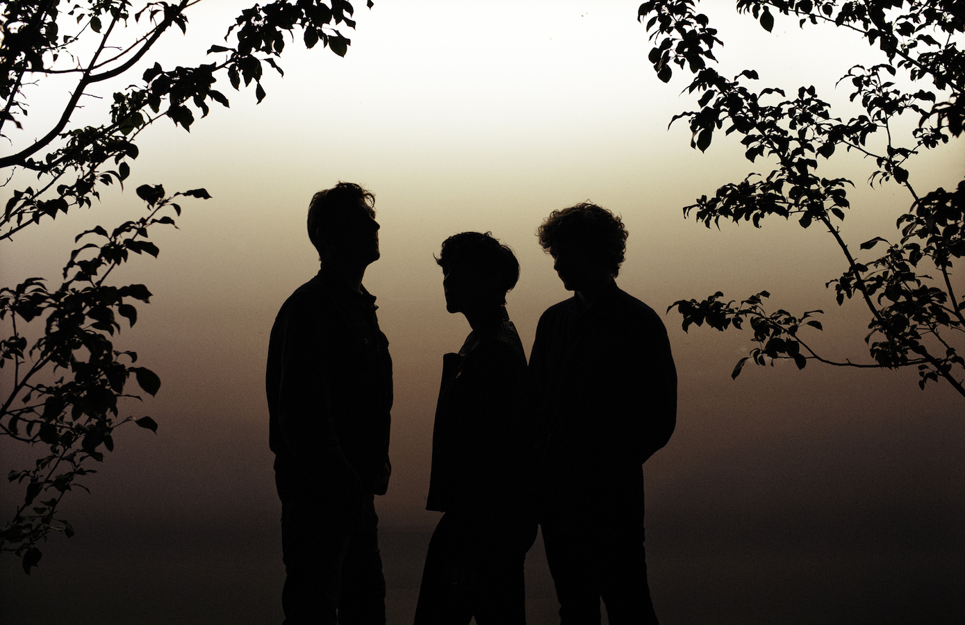 Premiere: FACS - 'Total History'