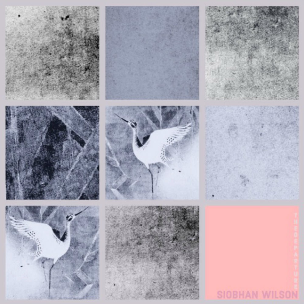Siobhan Wilson - The Departure