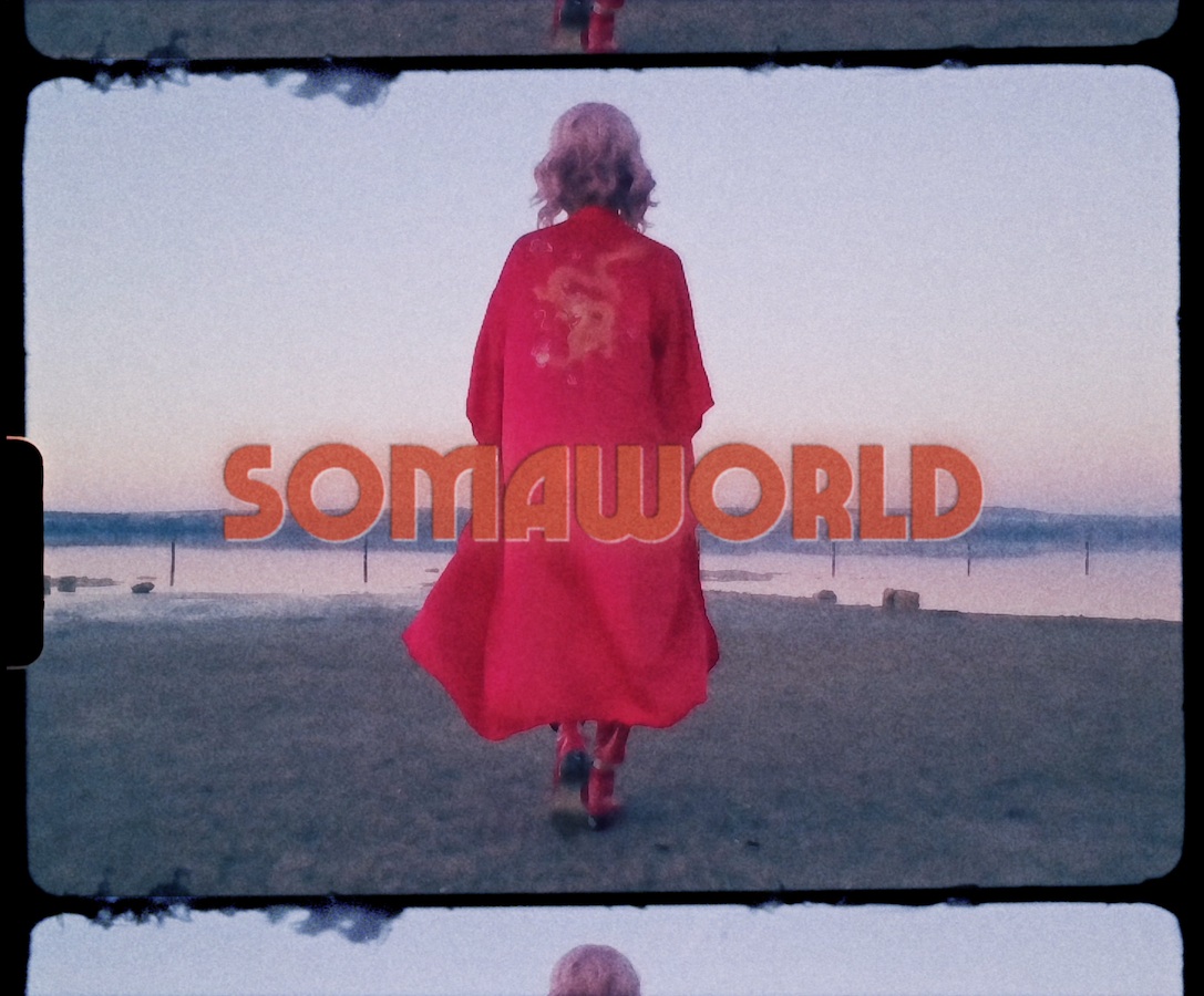 Soma World Soma World