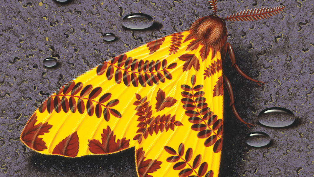 Talk Talk Celebration Announced For London's Southbank Centre