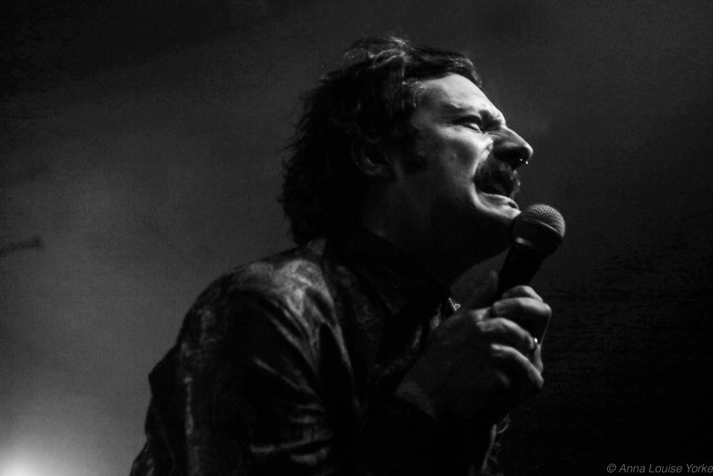 The Gluts Announce New Album 'Dengue Fever Hypnotic Trip'