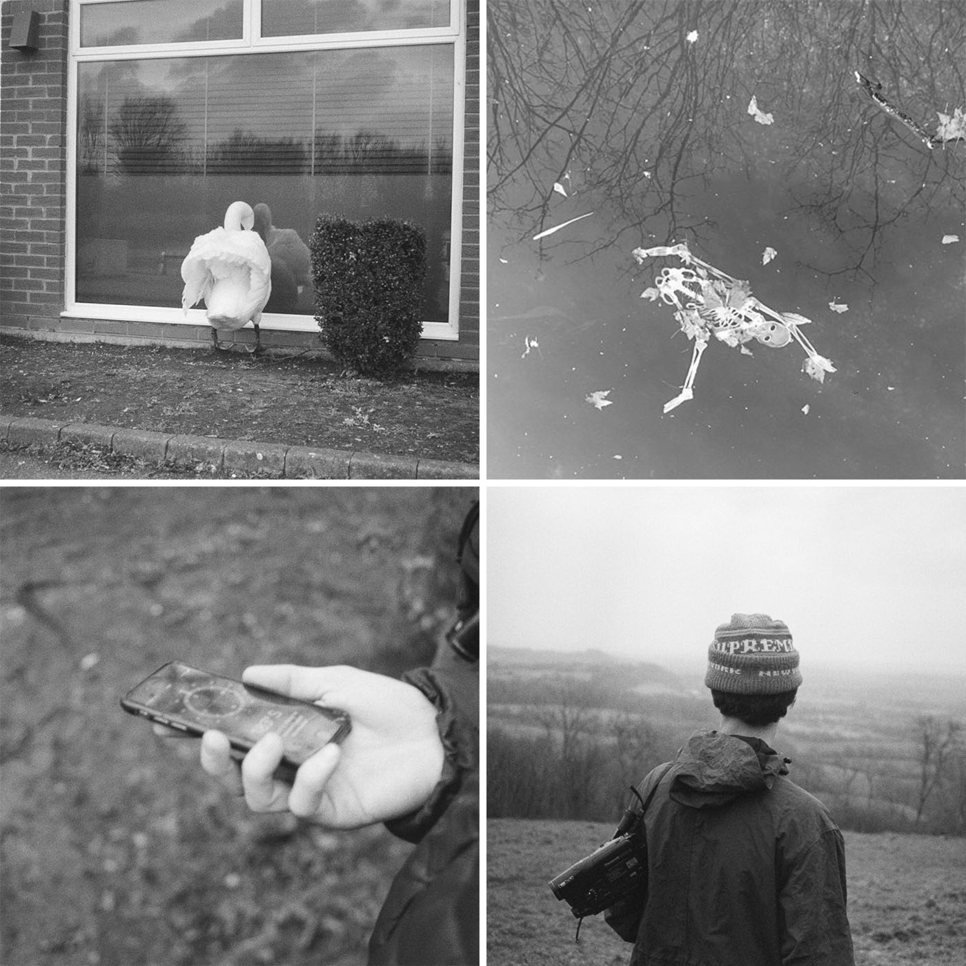 youngdumblovers Capture Mid-Winter's Stark Beauty With 'dice'