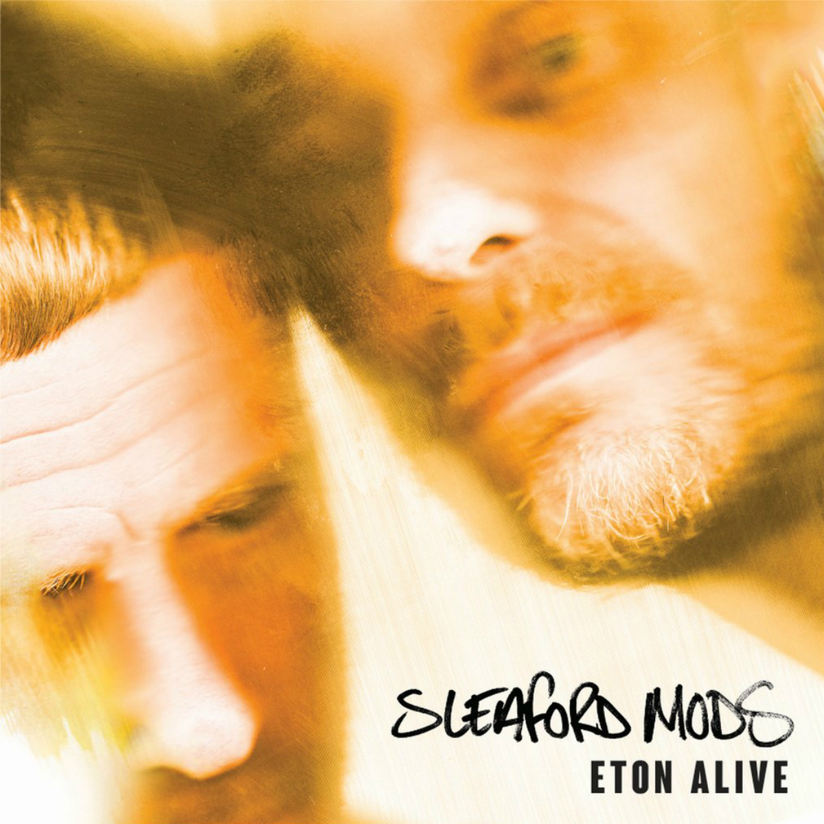 Sleaford Mods - Eton Alive