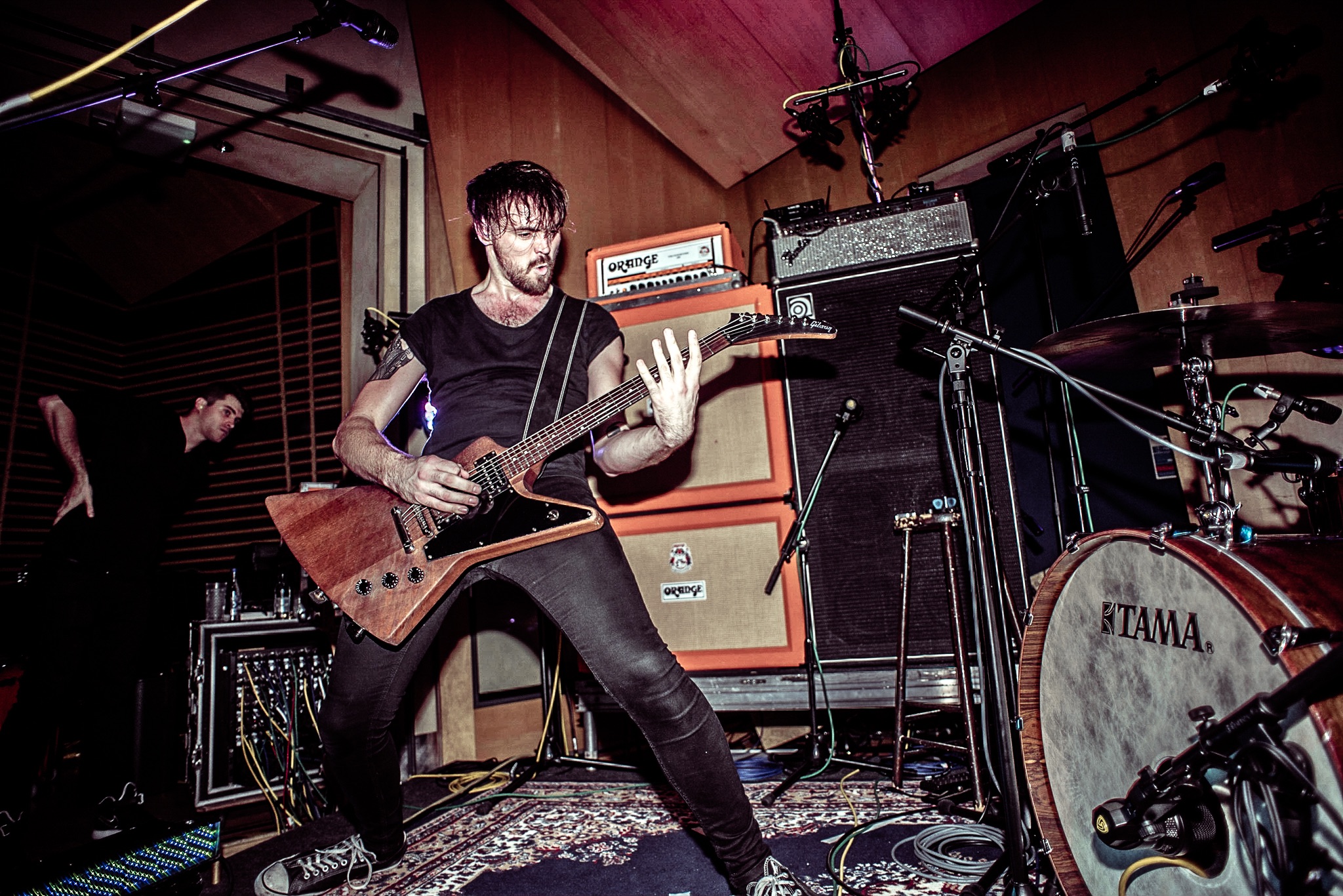 Track Of The Day 10/5 - Haggard Cat