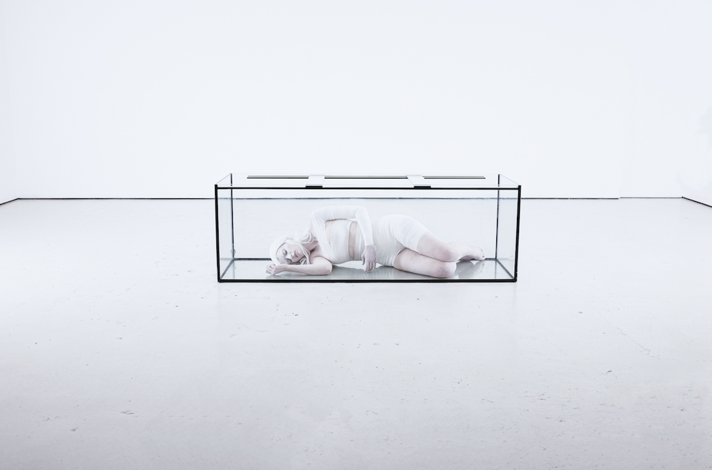 Track Of The Day 6/8 - Harpy