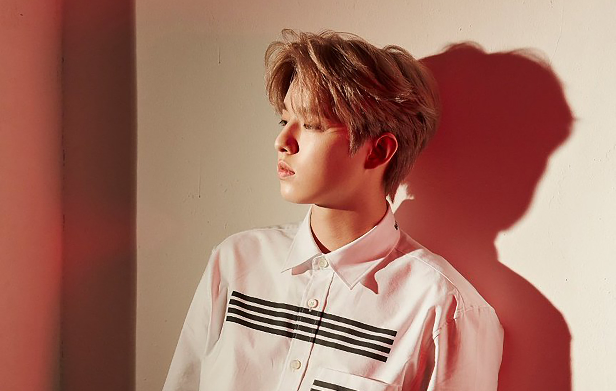 Jae Park Apologies To Jamie For Thot Comments News Clash Magazine jae-park-apologies-to-jamie-for-thot-comments-news-clash-magazine