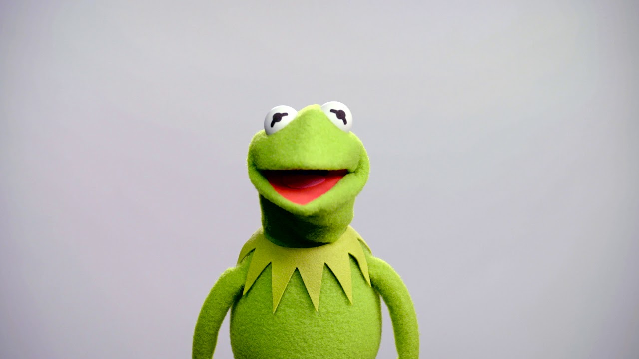 Janet Weiss, Jim James Jam With Kermit The Frog At Newport Folk Festival