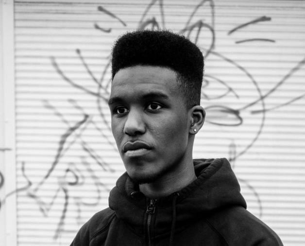 Novelist Novelist