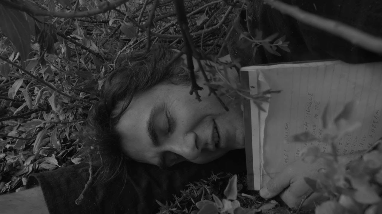 Chris Cohen Shares Pastoral New Track 'Sweet William'