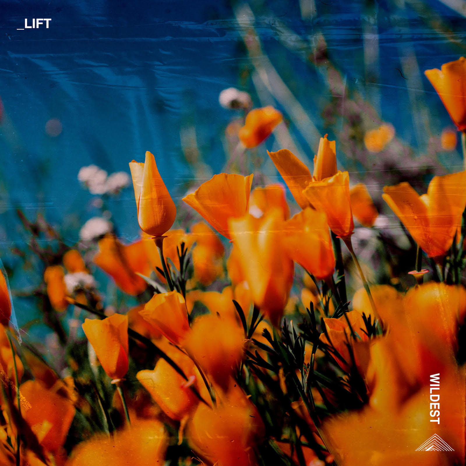 Premiere: Wildest 'Lift'