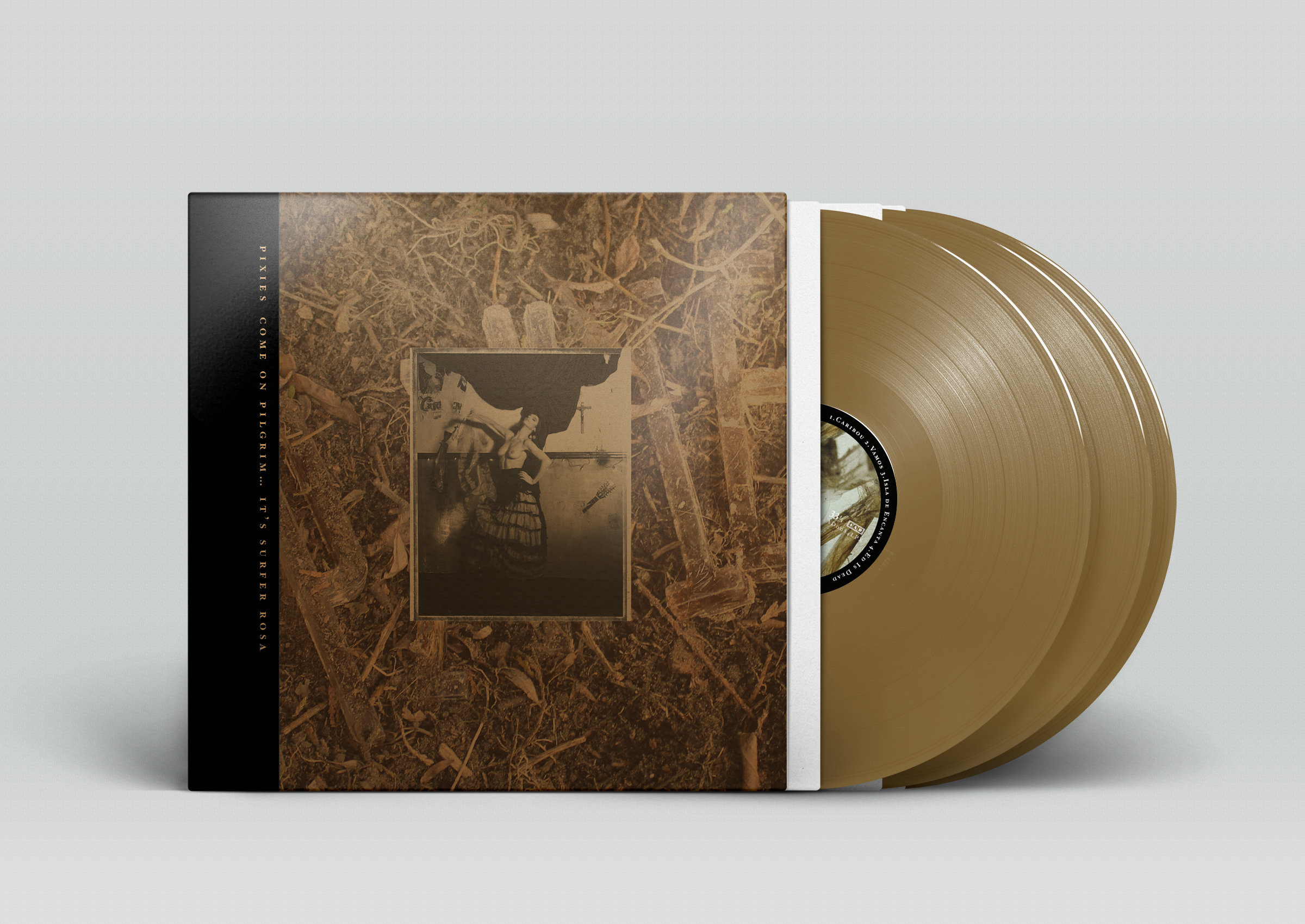 'Come On Pilgrim…It’s Surfer Rosa' 'Come On Pilgrim…It’s Surfer Rosa'