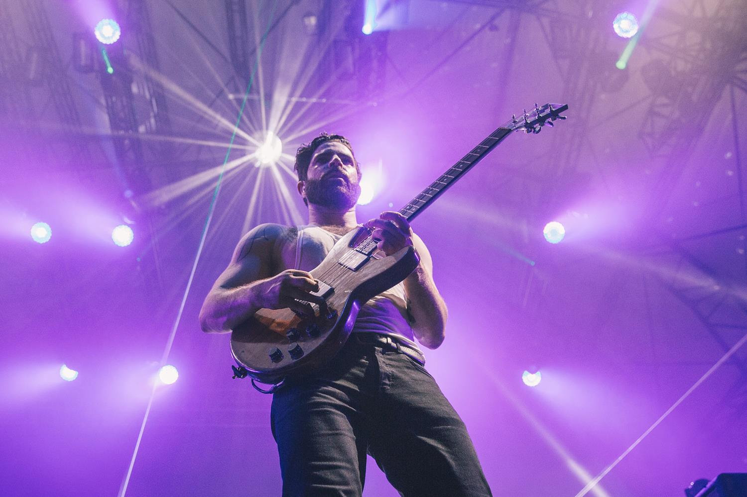 Foals Foals