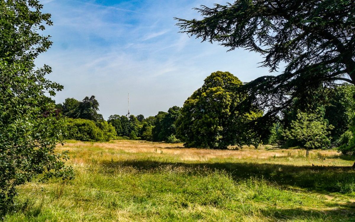 West London To Welcome Waterworks Festival